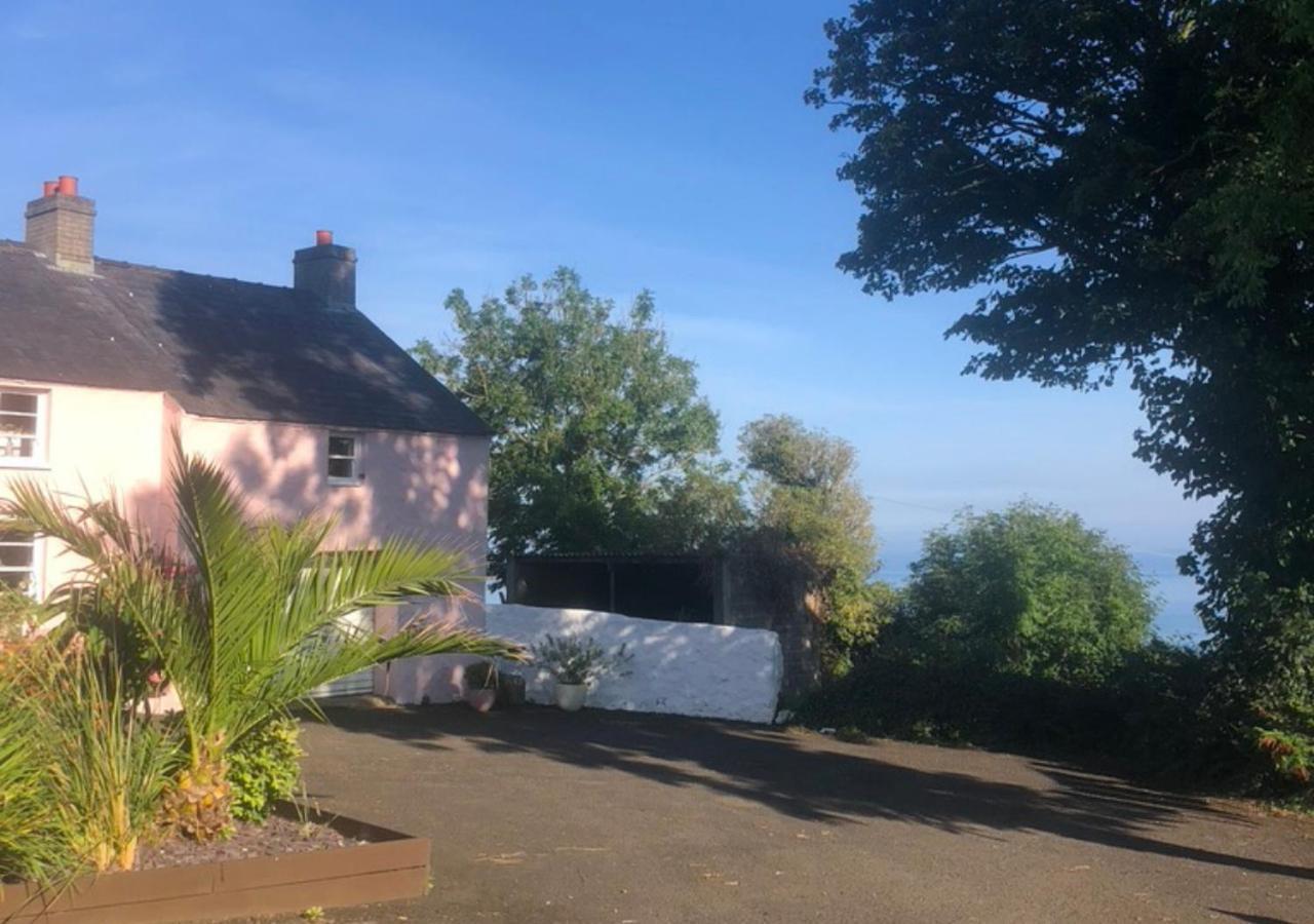 The Pink Cottage Upstairs Suite & Garden Summer Room Whitehead Dış mekan fotoğraf