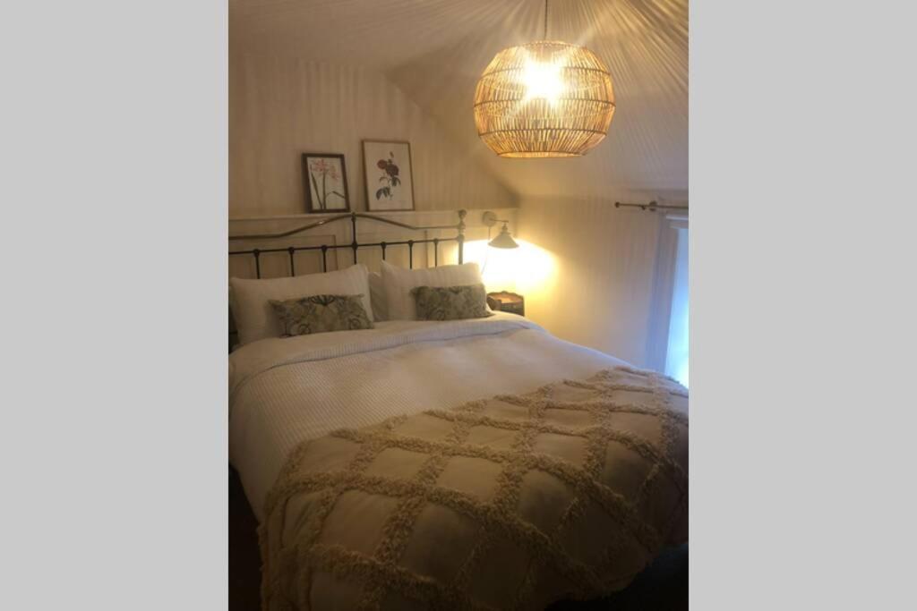 The Pink Cottage Upstairs Suite & Garden Summer Room Whitehead Dış mekan fotoğraf