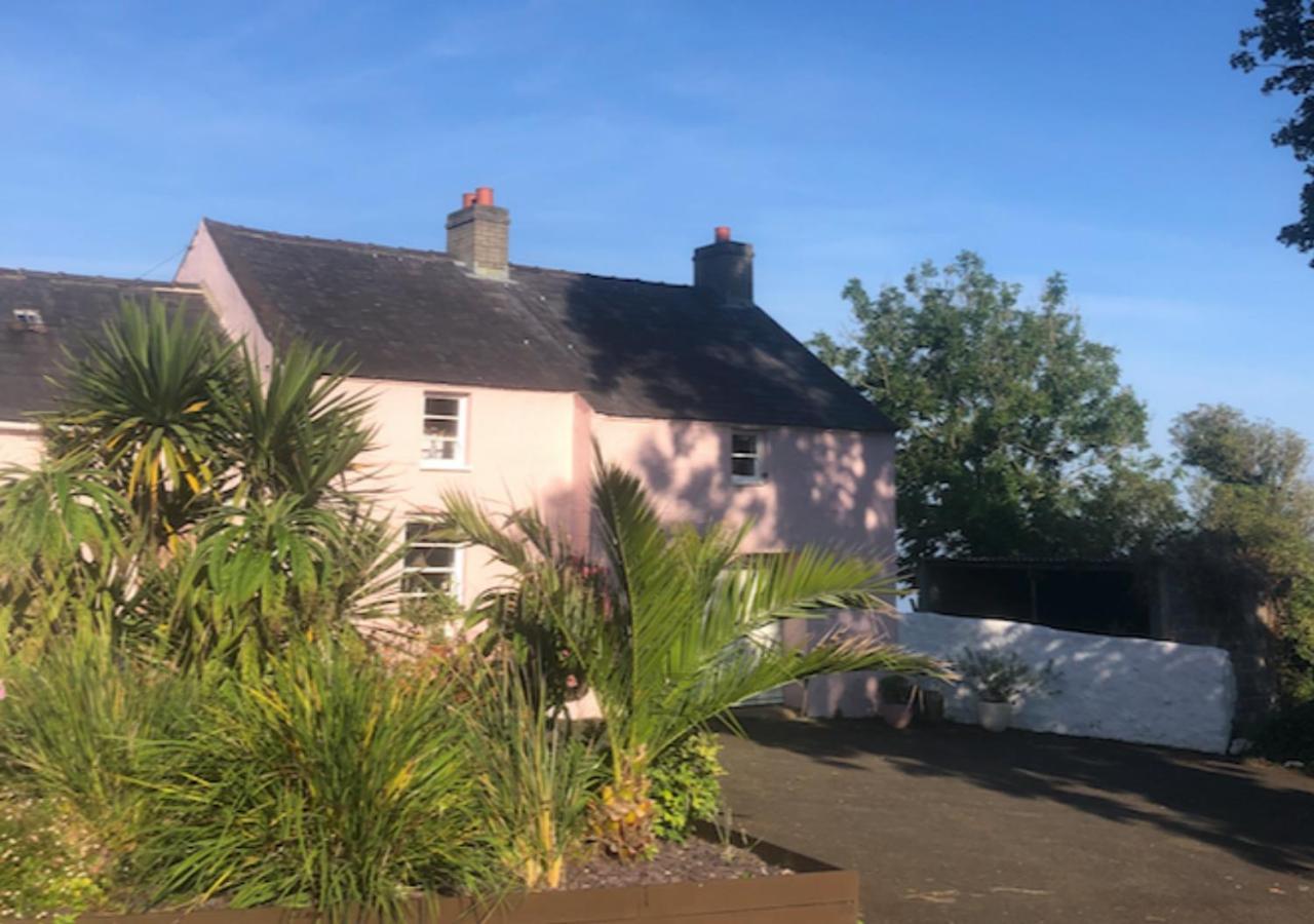 The Pink Cottage Upstairs Suite & Garden Summer Room Whitehead Dış mekan fotoğraf
