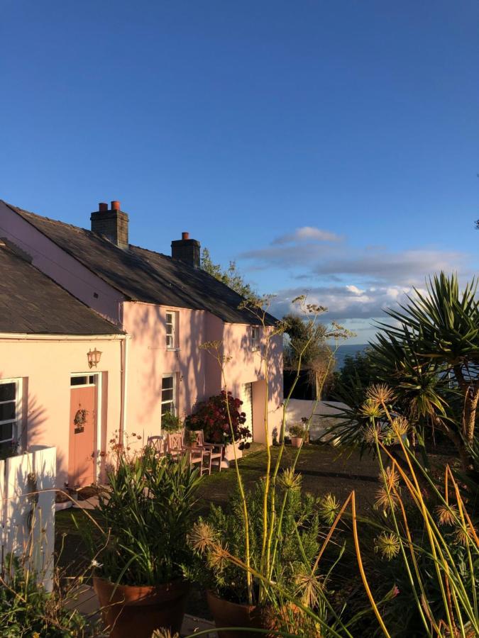 The Pink Cottage Upstairs Suite & Garden Summer Room Whitehead Dış mekan fotoğraf
