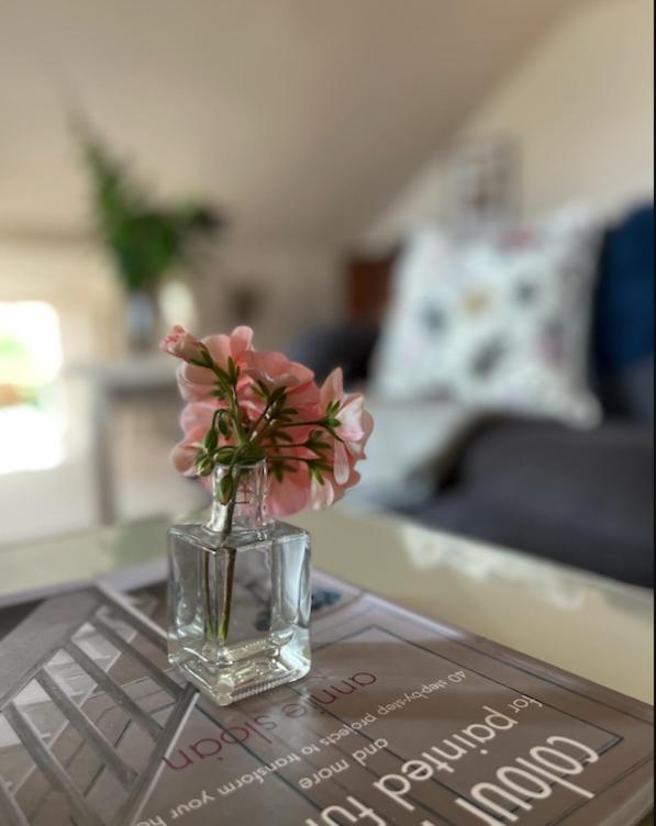 The Pink Cottage Upstairs Suite & Garden Summer Room Whitehead Dış mekan fotoğraf