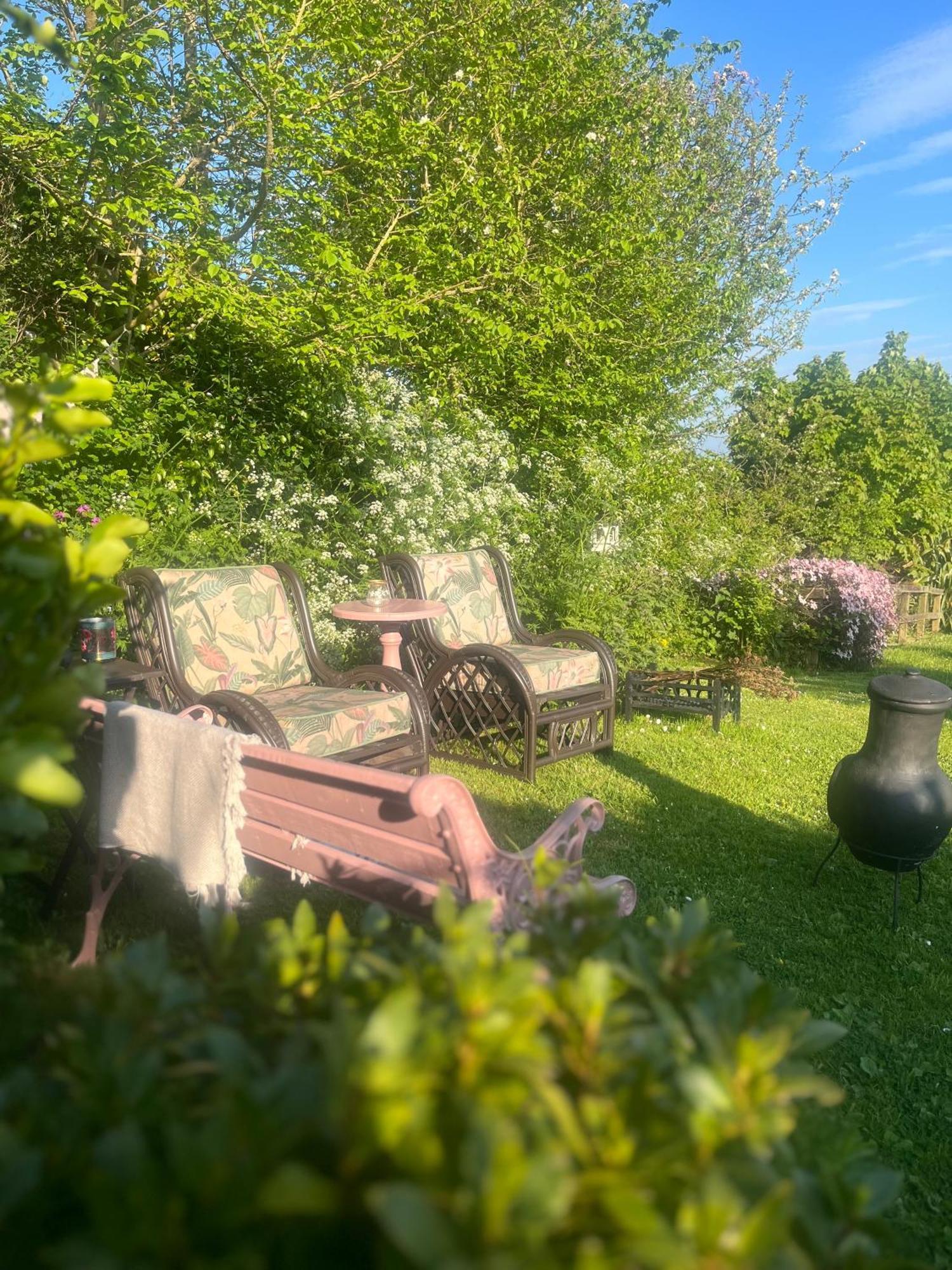 The Pink Cottage Upstairs Suite & Garden Summer Room Whitehead Dış mekan fotoğraf