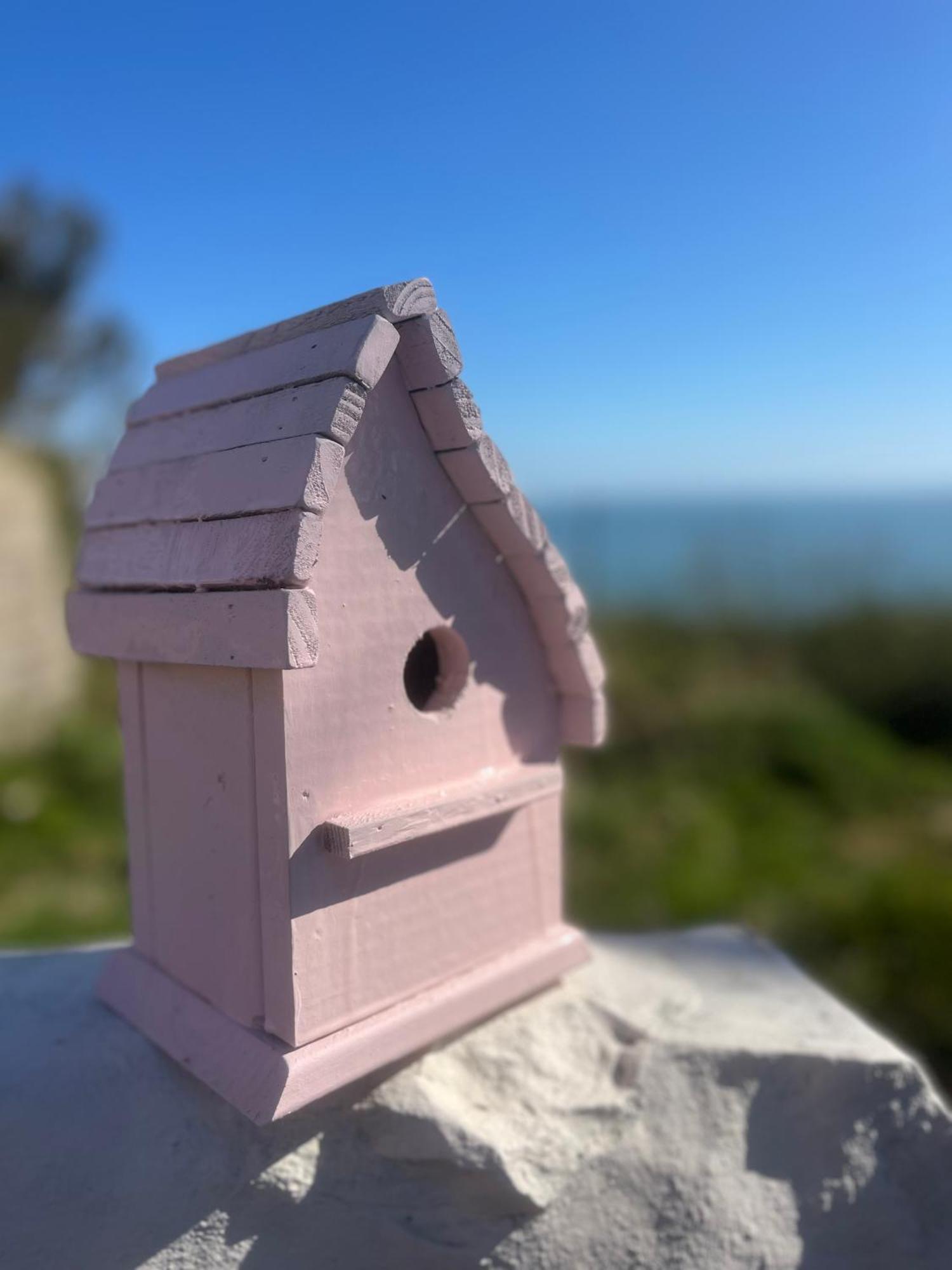 The Pink Cottage Upstairs Suite & Garden Summer Room Whitehead Dış mekan fotoğraf